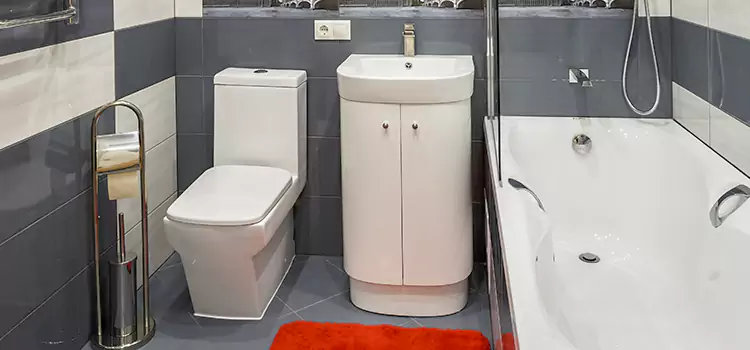 Hansgrohe Shaving Mirror Santa Clarita